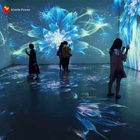 Terrain de jeu virtuel interactif de système de projection de plancher de mer de fleur